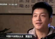 开云体育中国官网-韩国队完胜瑞典队，樊振东统治全场