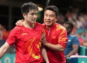 开云体育在线-法国乒乓球队强势比利时乒乓球队，王皓制霸全场的简单介绍