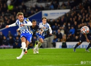 开云在线直播-狼队客场不敌对手，遭遇连败