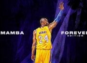 开云体育登录-克莱存在感拉满，广厦队拿下国王—一场定义球队气质的胜利