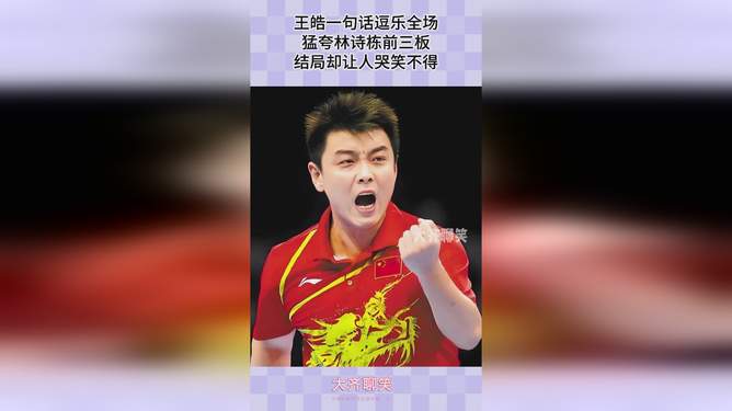 法国乒乓球队强势比利时乒乓球队,王皓制霸全场的简单介绍 法国乒乓球队强势比利时乒乓球队,王皓制霸全场的简单介绍
