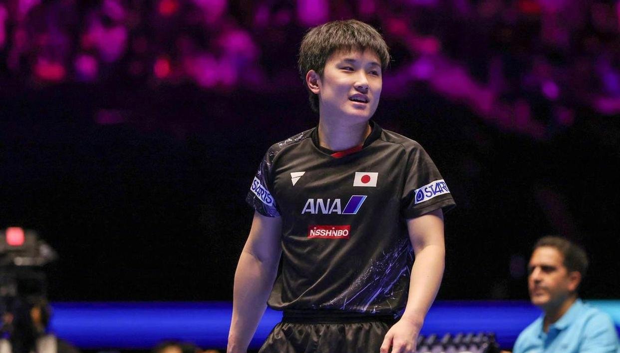 关于波兰乒乓球队轻取比利时乒乓球队，张本智和爆发神勇的信息