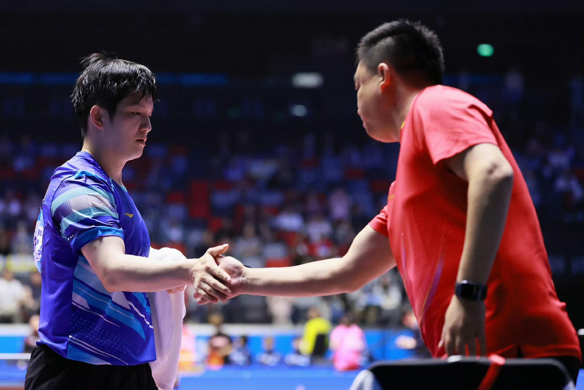 包含日本队横扫韩国队,樊振东关键制胜的词条 包含日本队横扫韩国队,樊振东关键制胜的词条